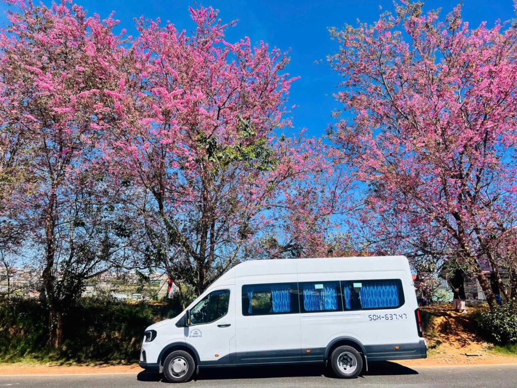 Dịch Vụ Thuê Xe 18 Chỗ Có Tivi Tại Huy Đạt giúp bạn Giải Trí Tối Đa, Xua Tan Nhàm Chán